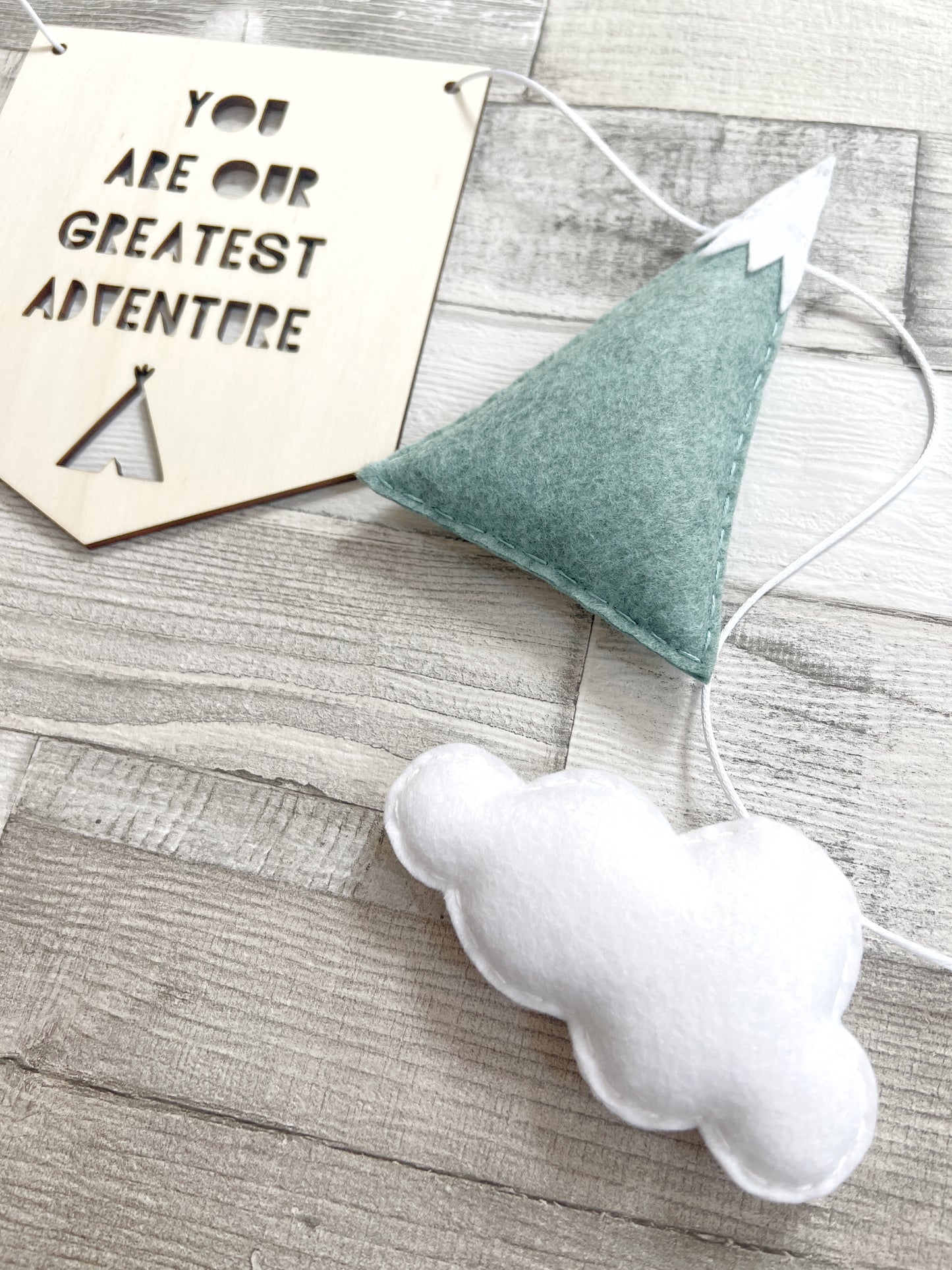 You Are Our Greatest Adventure Bunting